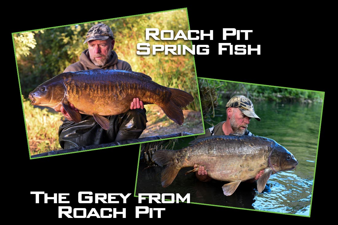 carp-fishing-the-rockford-leather-roach-pit-fish