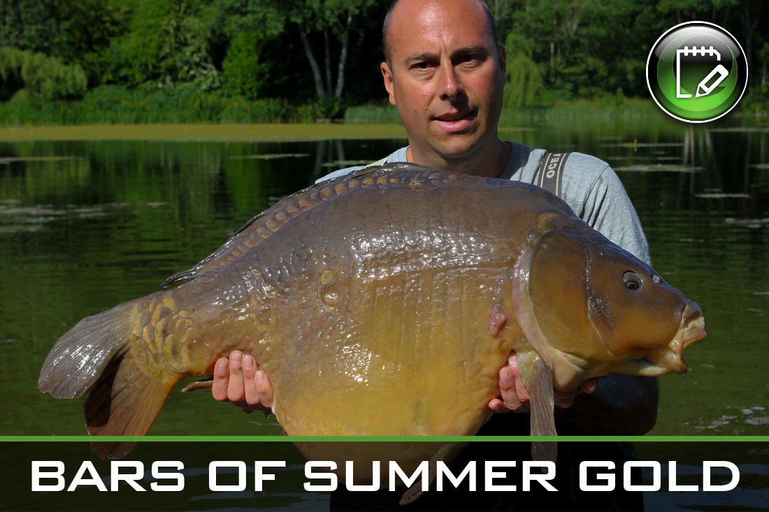 carp-fishing-bars-of-summer-gold-image-featured