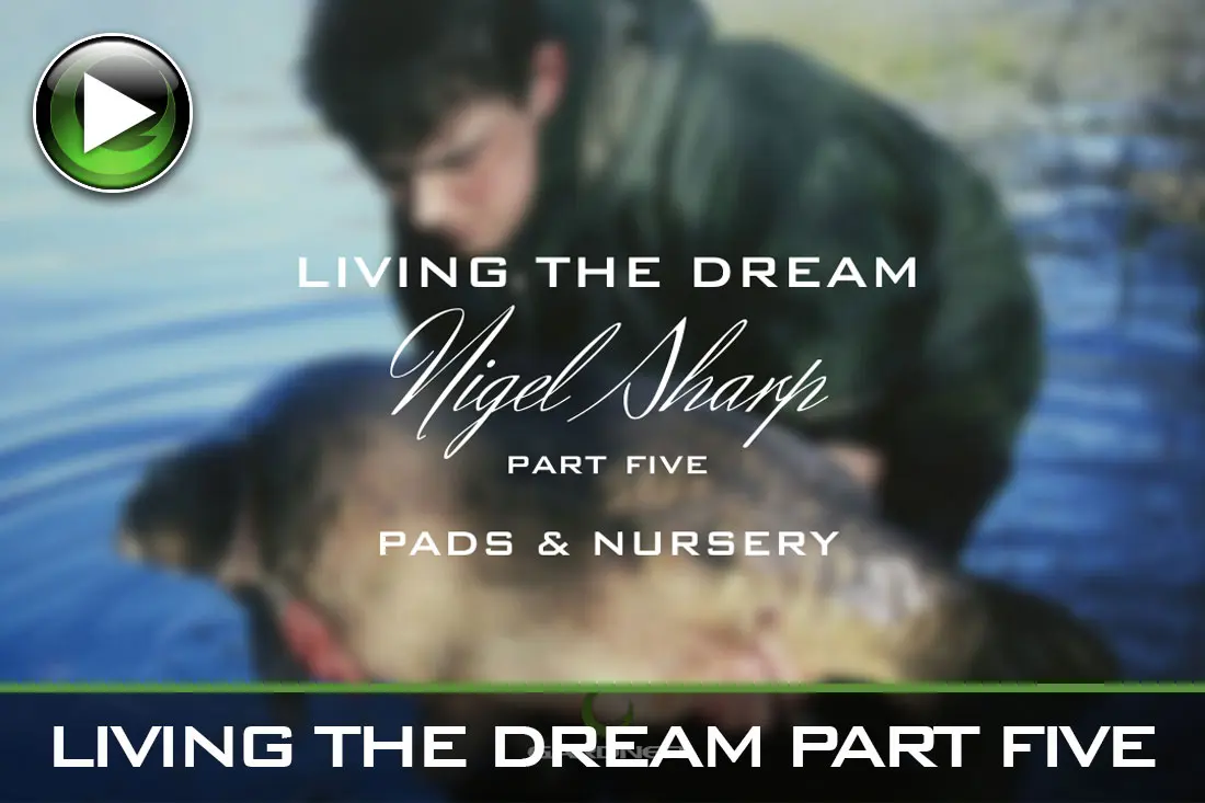 Carp Fishing – Living The Dream Part Five – Video