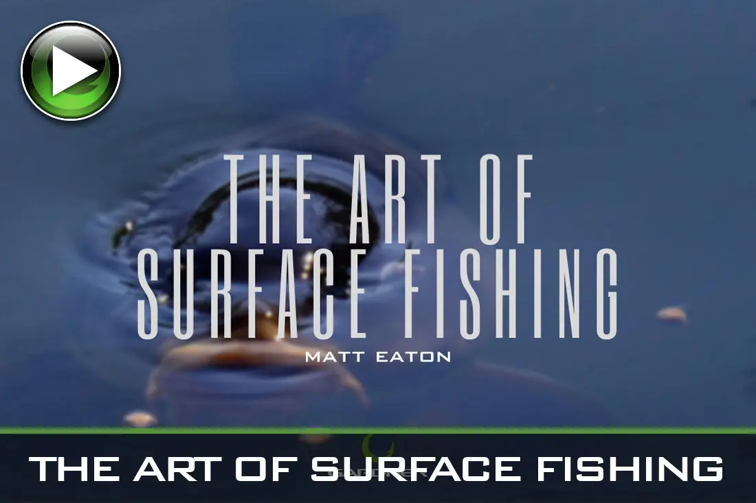 Carp Fishing – The Art Of Surface Fishing – Video