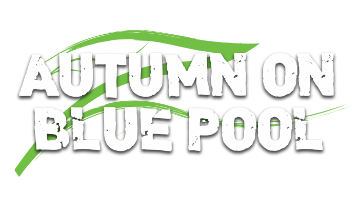 carp-fishing-autumn-on-blue-pool-title
