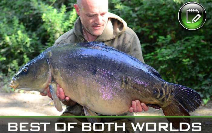 carp-fishing-best-of-both-worlds-featured
