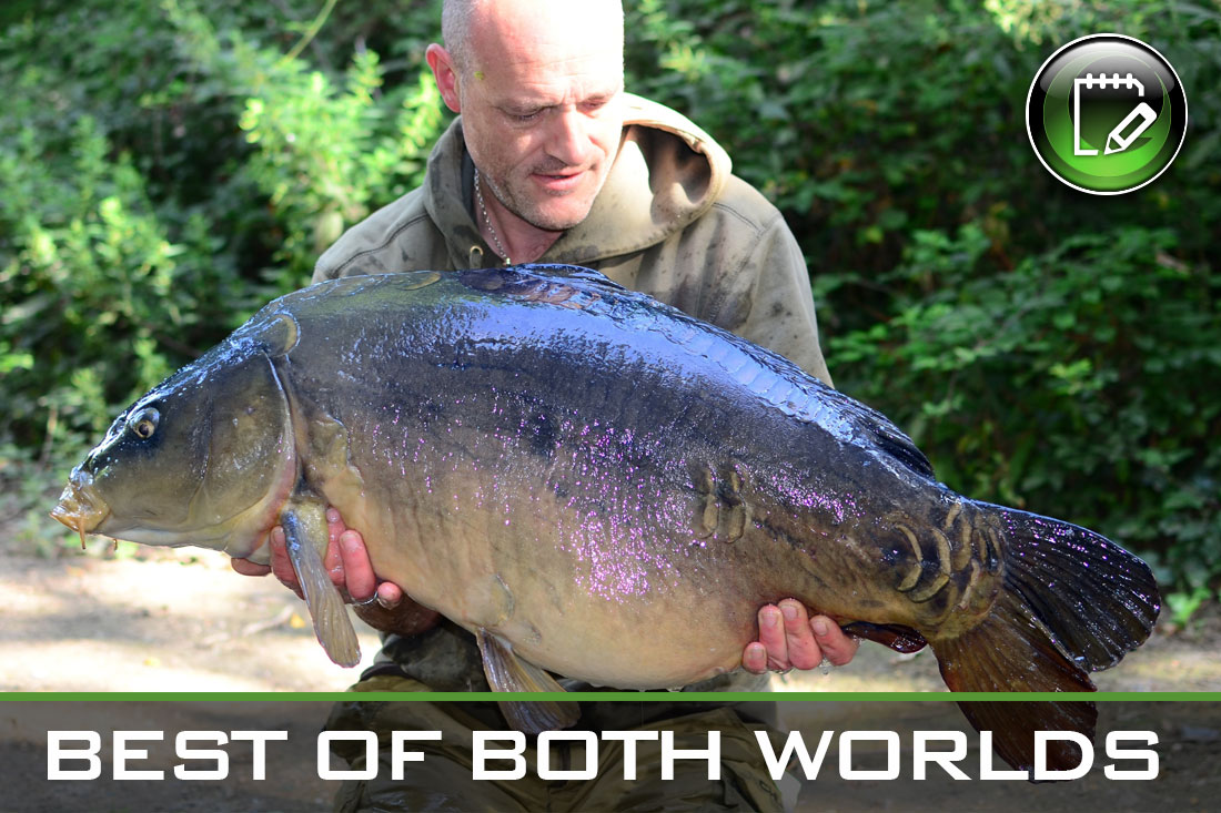 carp-fishing-best-of-both-worlds-featured