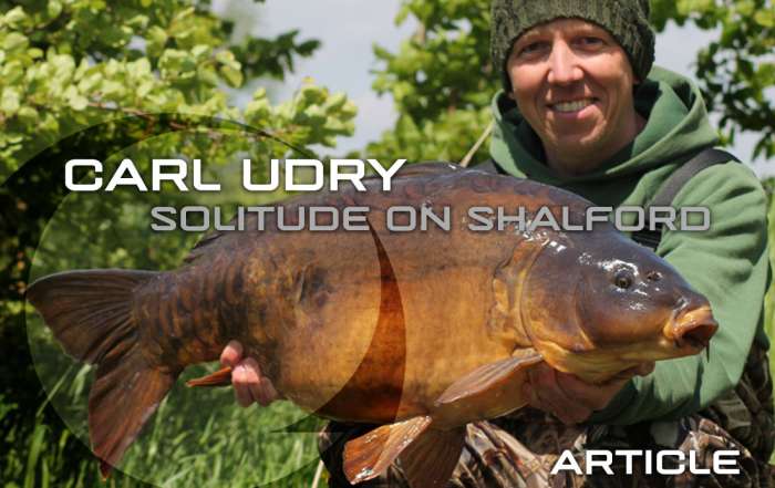 carp-fishing-solitude-on-shalford-featured