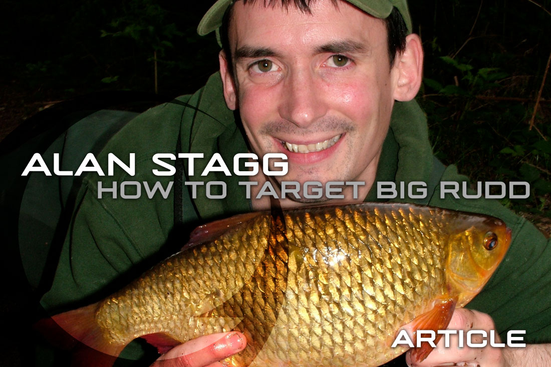 coarse-fishing-how-to-target-big-rudd-featured