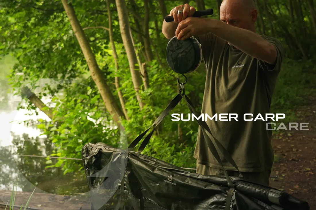Summer Carp Care – Matt Eaton