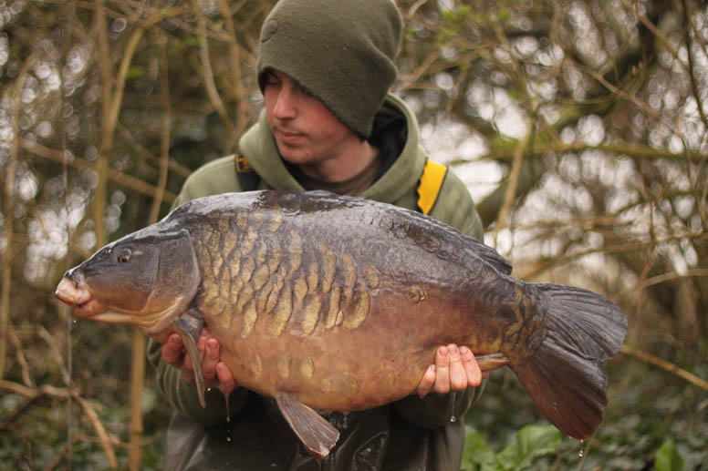 Effort Equals Reward by Tom Oliver