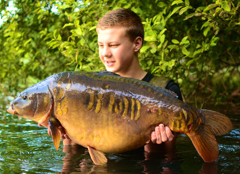 Summer on the Syndicate by Martyn Royle