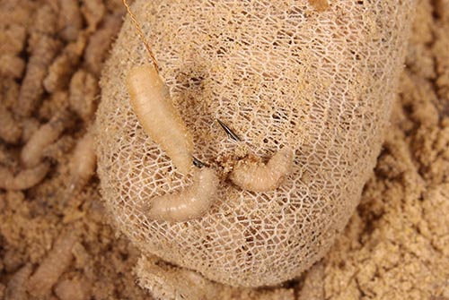 Specialist Mag-Aligner Rig