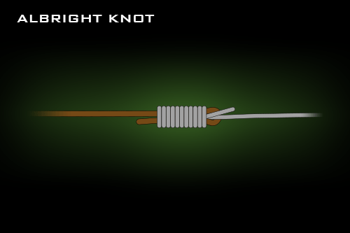 Albright Knot