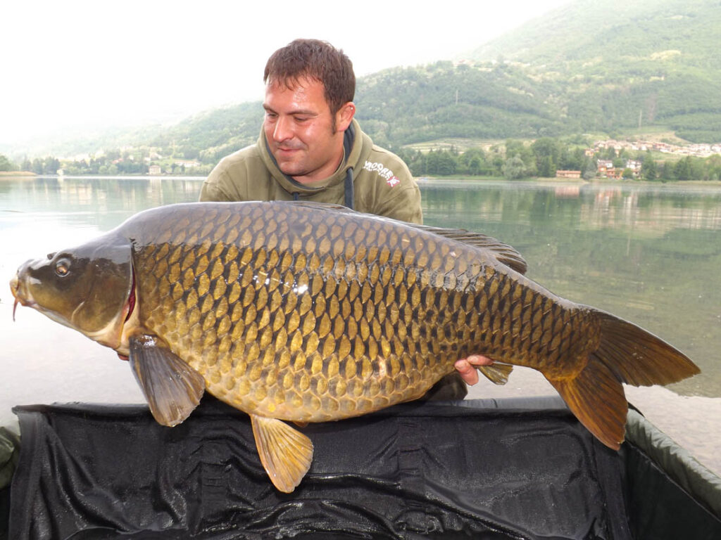 Luca Tugnoli