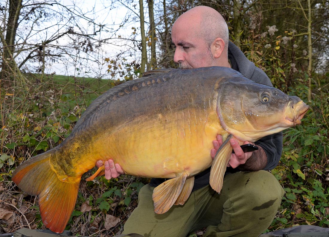 Carp Fishing – The Old Canal – By Tommy De Cleen
