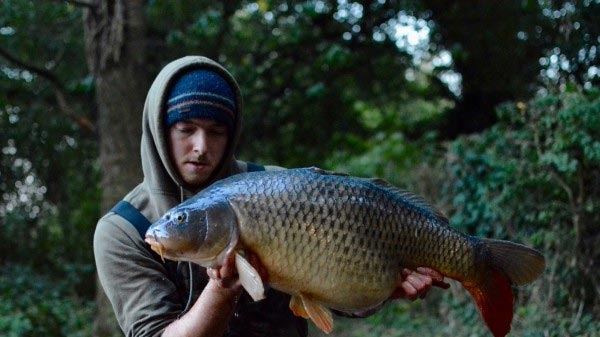 Dan Handley Catch Report