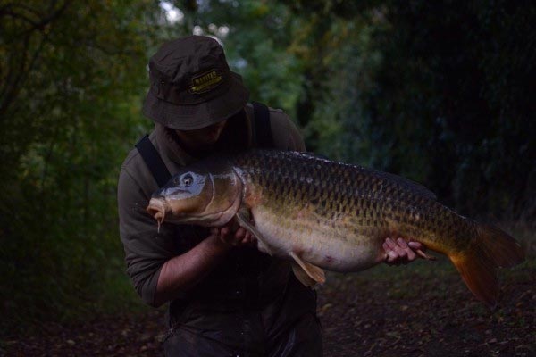 Dan Handley Catch Report