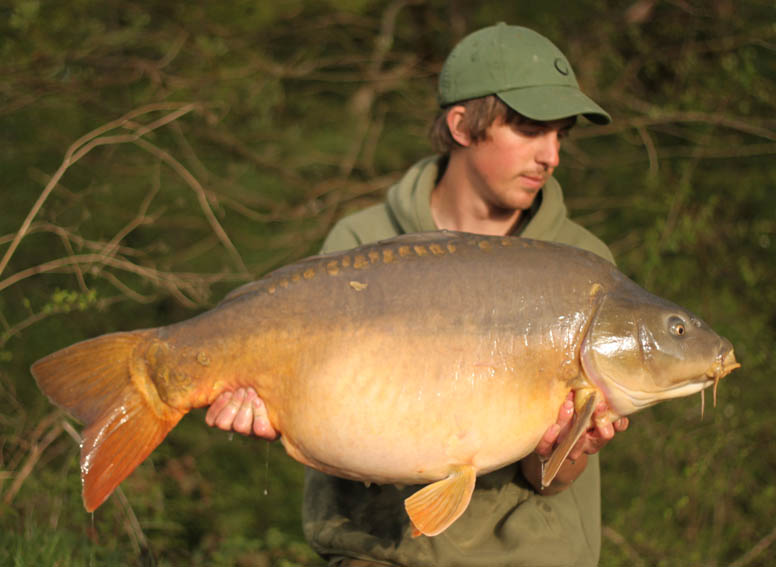 A Return to my Syndicate by Tom Oliver