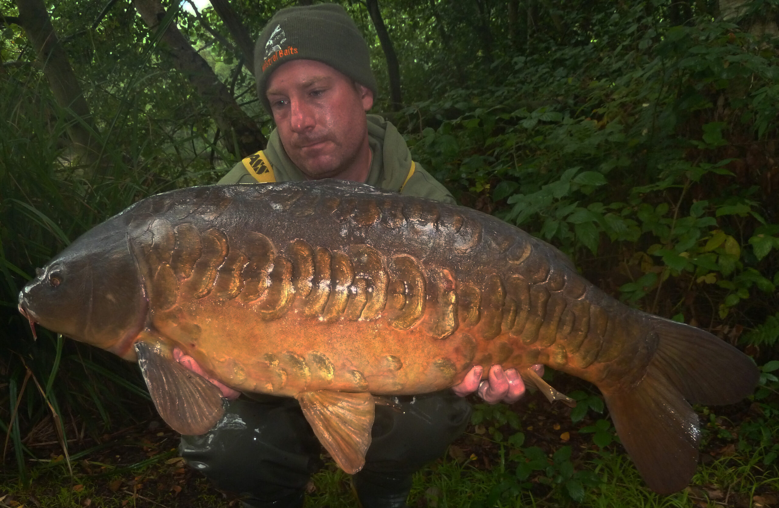 A Scaley Treasure By Ian Lewis