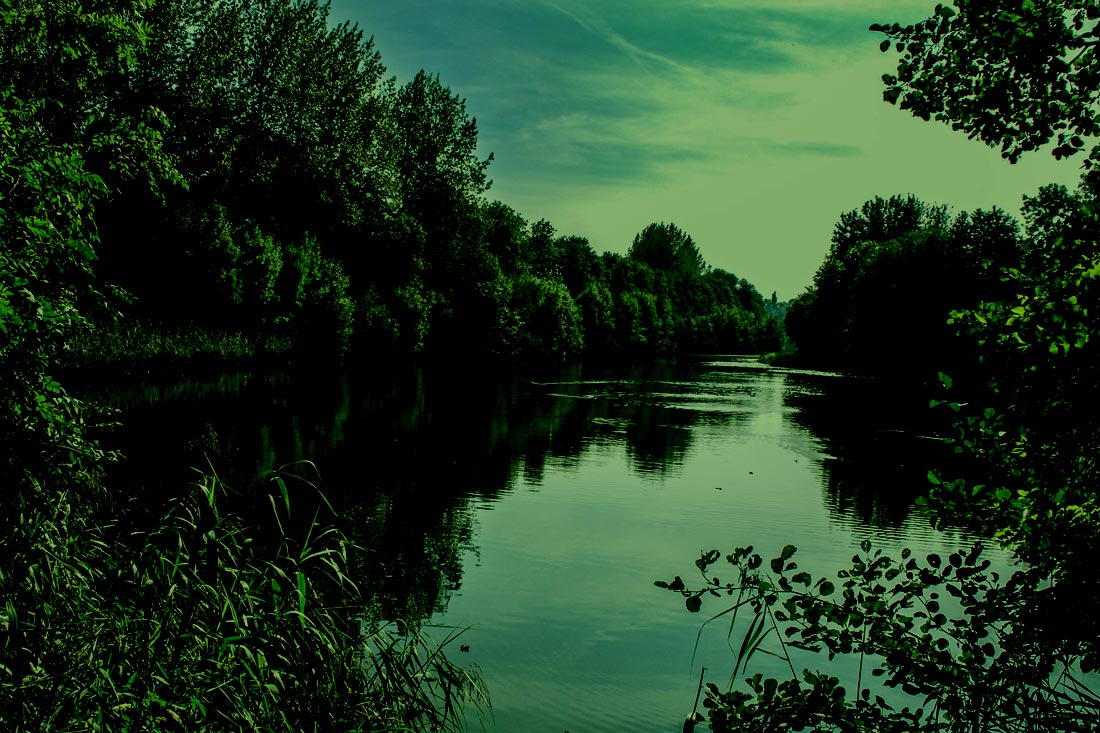 Karpervissen – Throwback: De OC Jaren – Tommy De cleen