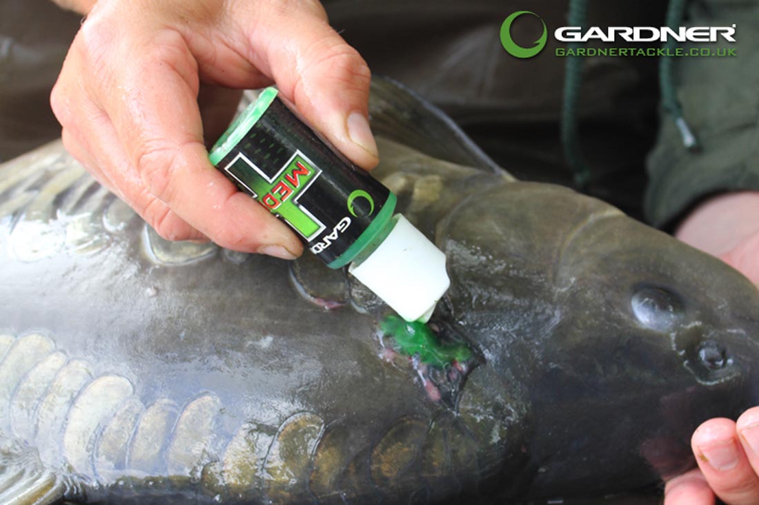 Medic Plus Recensione di Luca Nanetti