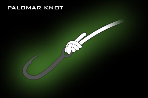 Palomar Knot