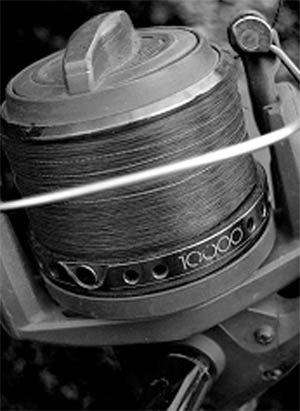 Vigilante Review by Duncan Maclean