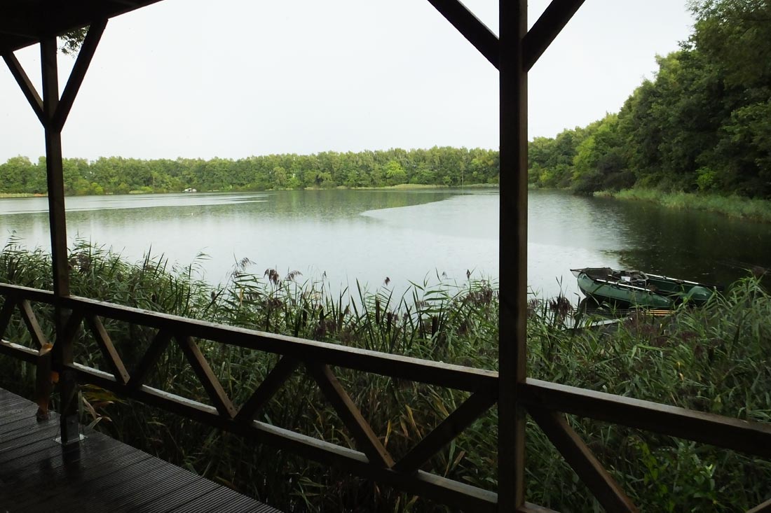 Carp Fishing – Going Dutch – By Rich Adams