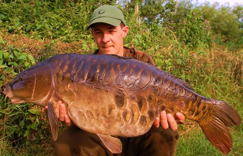 Day Ticket Stunner’s by Chewy French