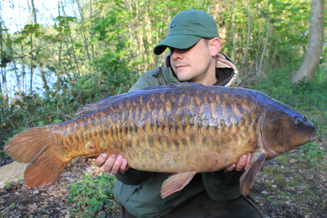 Carp Fishing – Stunning Fully – By Scott Kingsley
