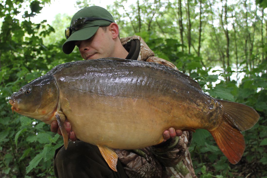 Carp Fishing – Settling A Score – By Scott Kingsley