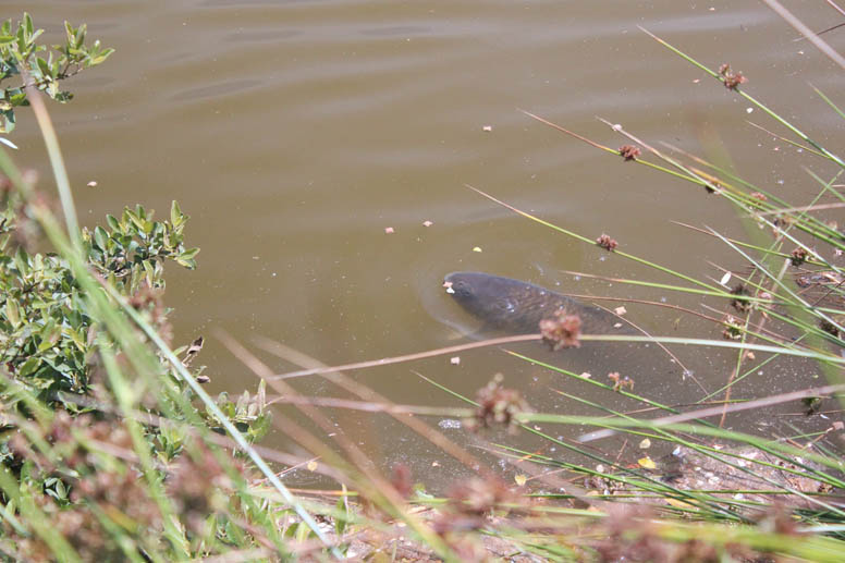 Off The Top with Tony Welch