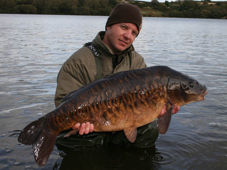 Reunited With an Old Friend by Tony Welch