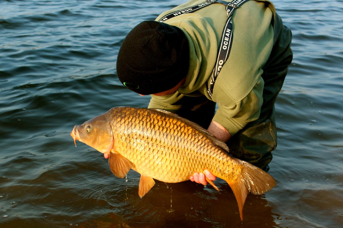 Carp Fishing – Bring Me Sunshine – By Tony Welch