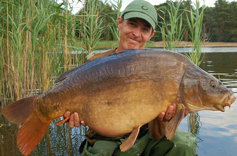 Tricked into it by Chewy French