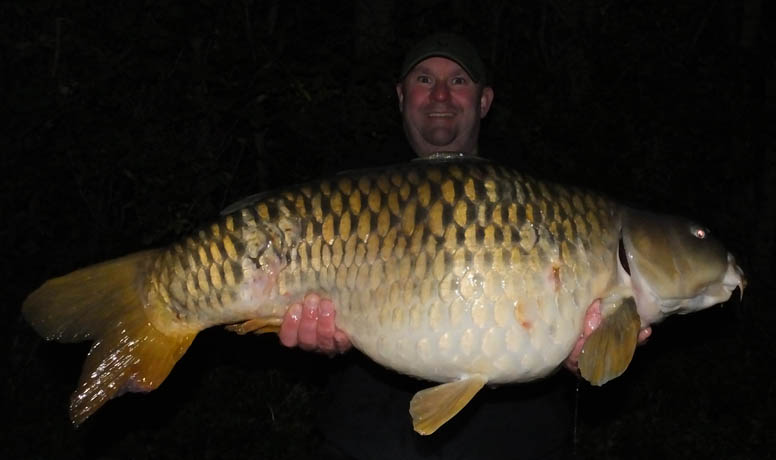 Bella The Lucky Common By Rich Adam’s