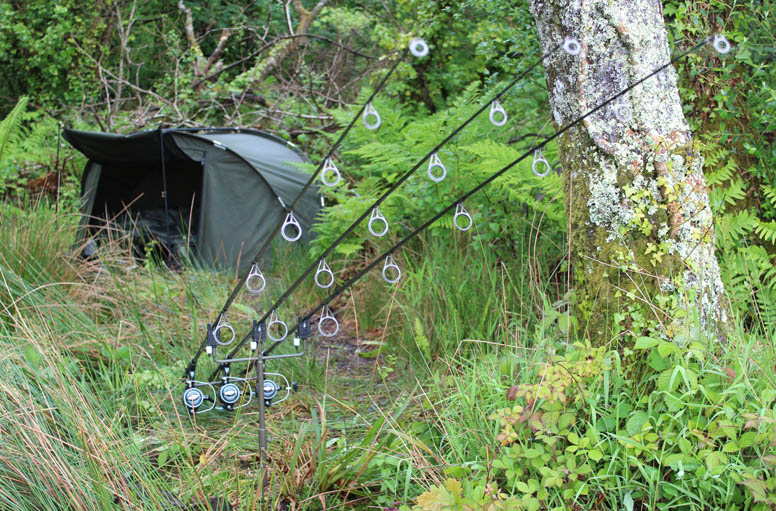 Welcome To The Jungle by Tony Welch