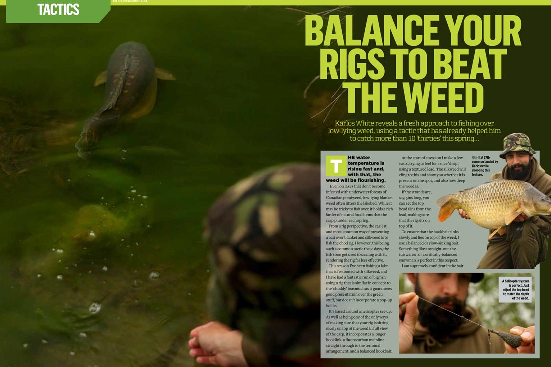 Balance Your Rigs To Beat The Weed ~ Karlos White