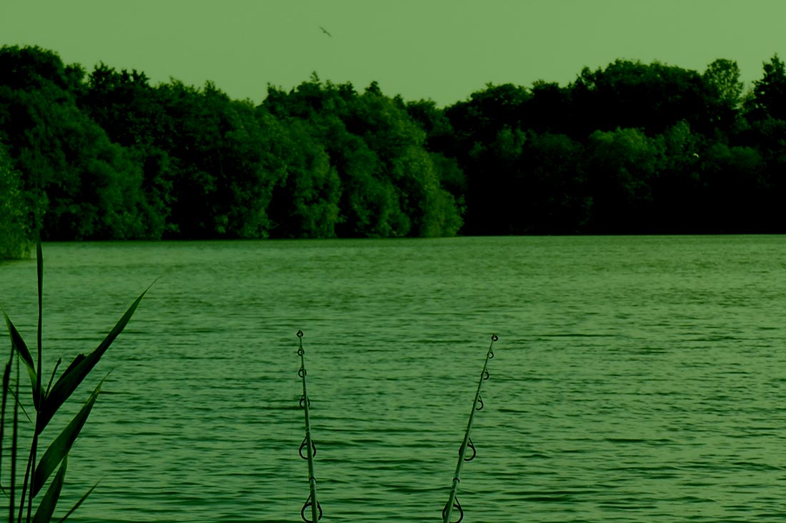 Carp Fishing – 10 Post Lockdown Tips – Matt Eaton