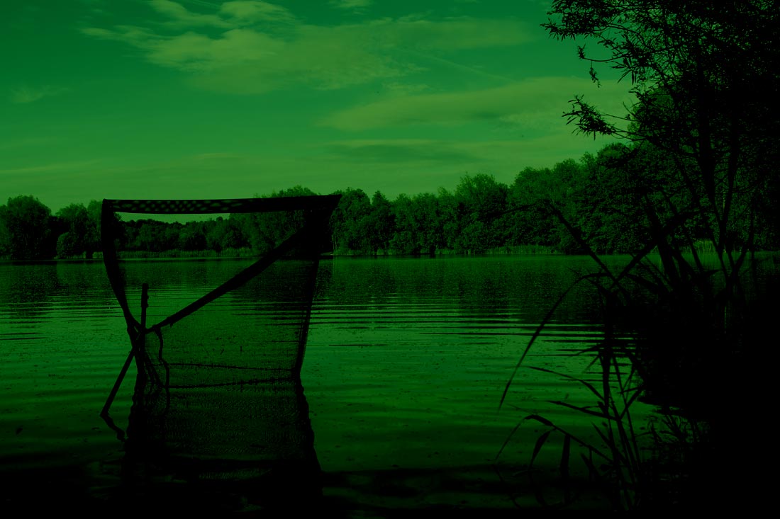 Carp Fishing – 2017, A Year to Remember – George Benos