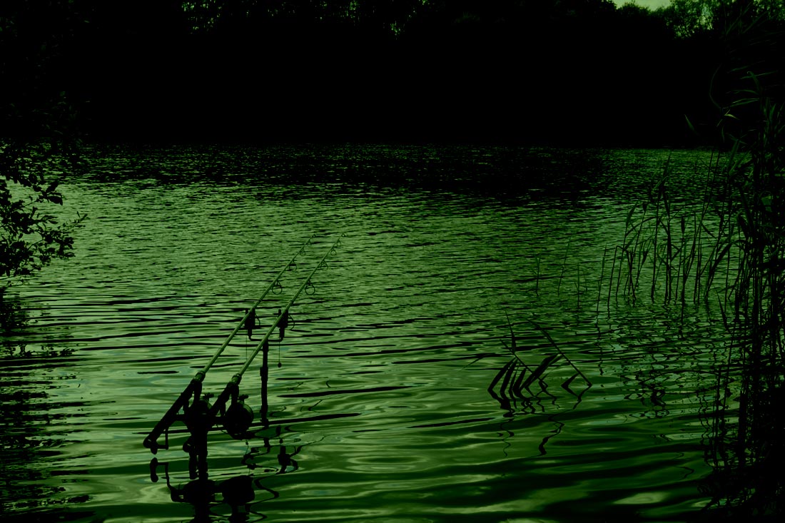 Carp Fishing – 2020 Park Lake, Mayhem! – Dan Chart