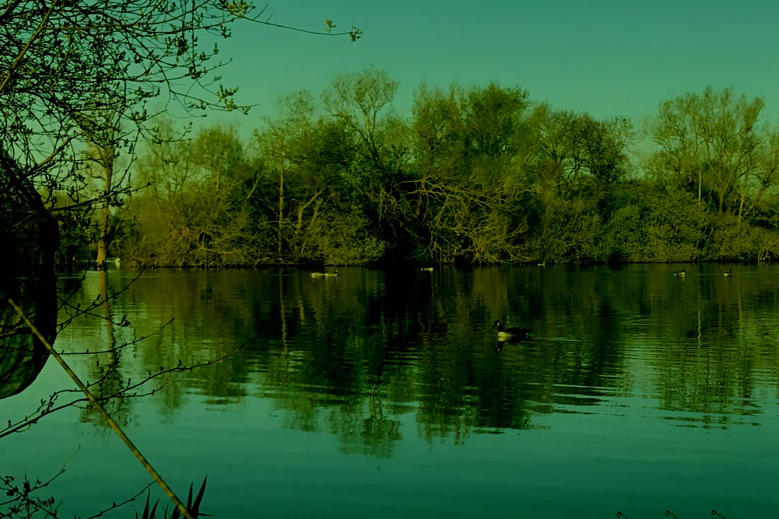 Carp Fishing – Big Carp Mind Set Part 4 – Nigel Sharp