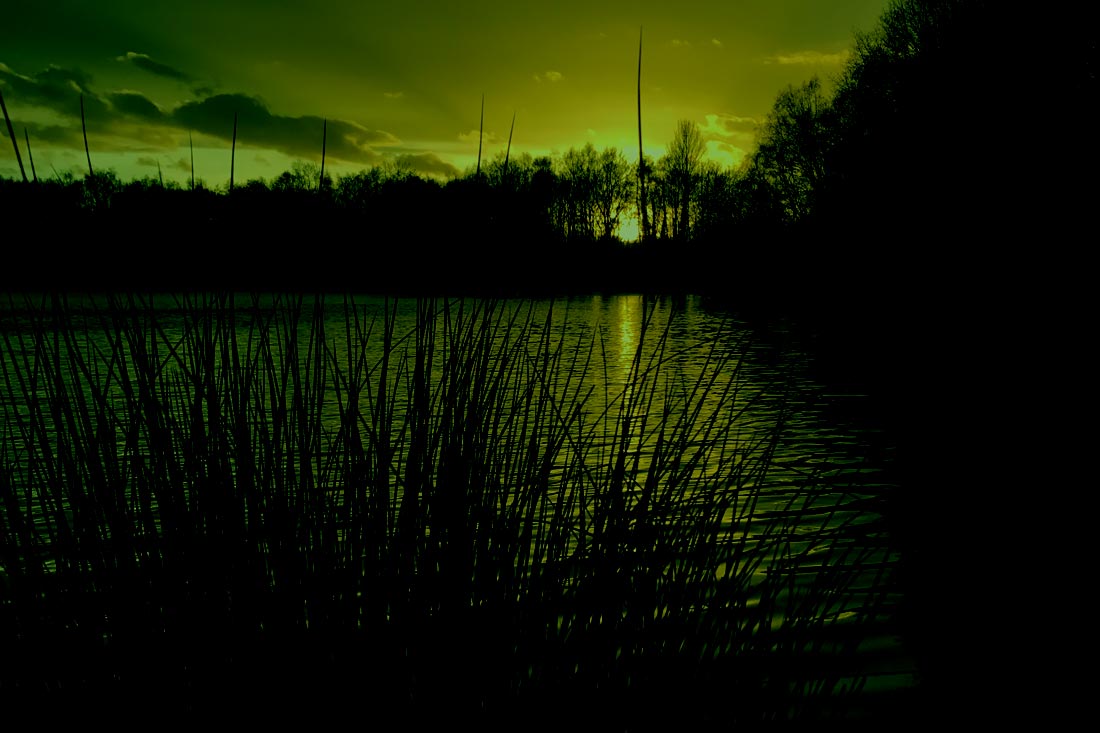 Carp Fishing – Big Carp Mind Set Part 3 – Nigel Sharp