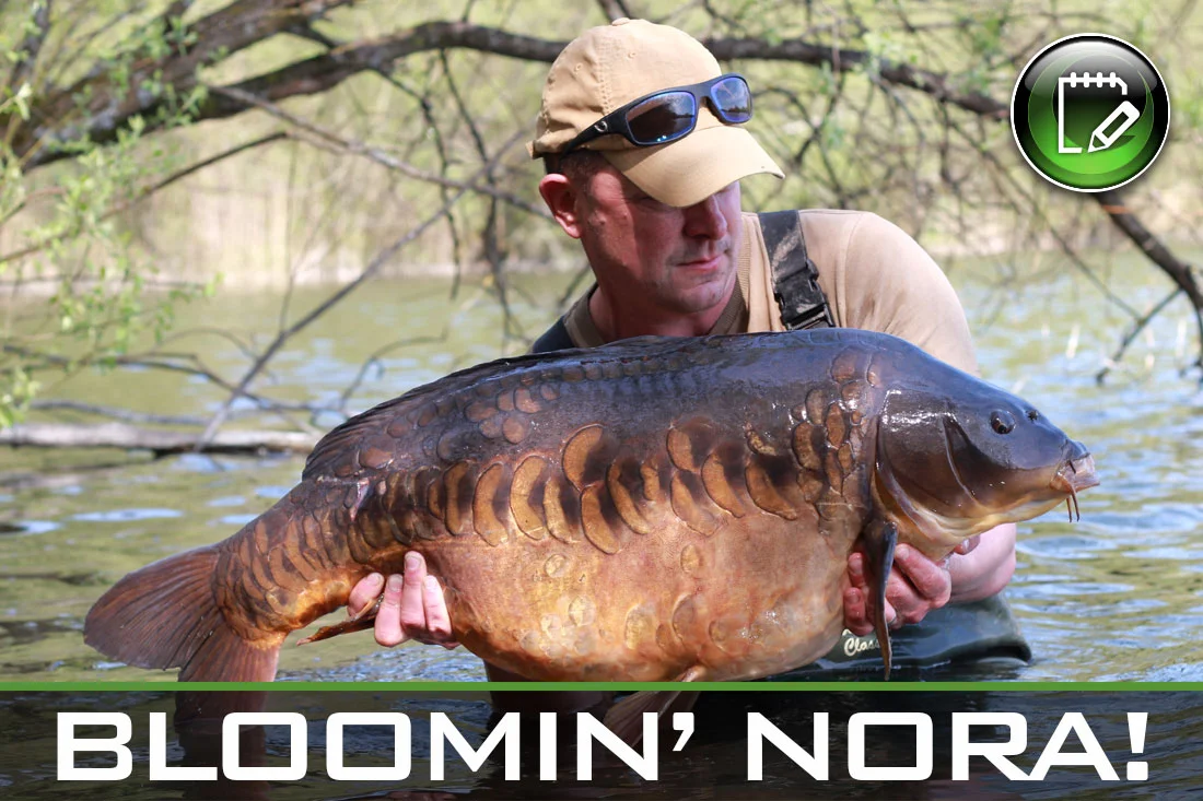 Carp Fishing – Bloomin’ Nora! – Adam Whittington