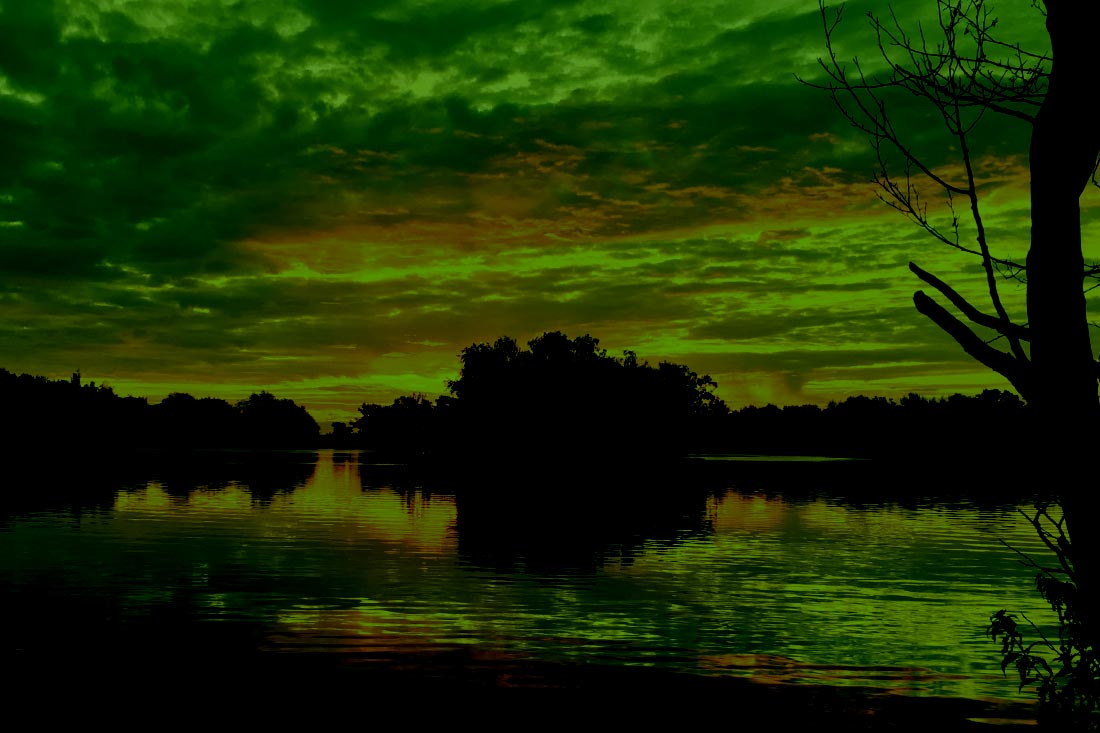 Carp Fishing – Build up to The Big Common – Clint Bullock