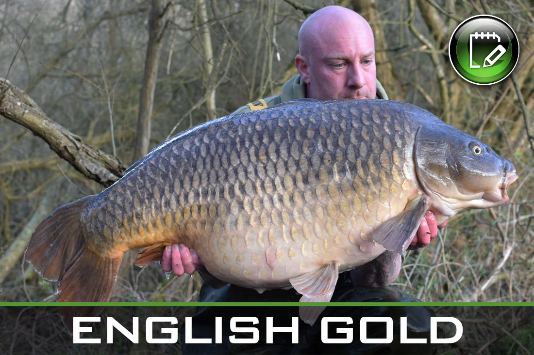 Carp Fishing – English Gold – Ian Lewis