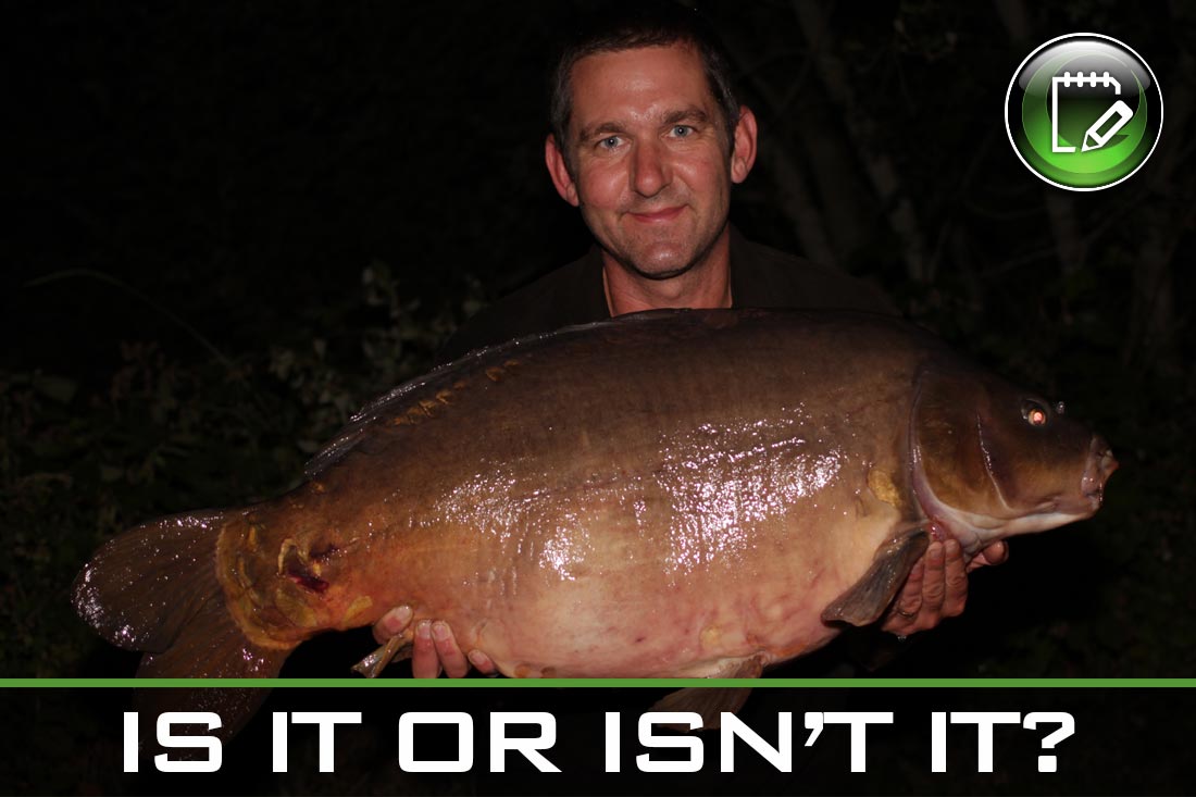 Carp Fishing ~ Is It or Isn’t It? ~ Lewis Read