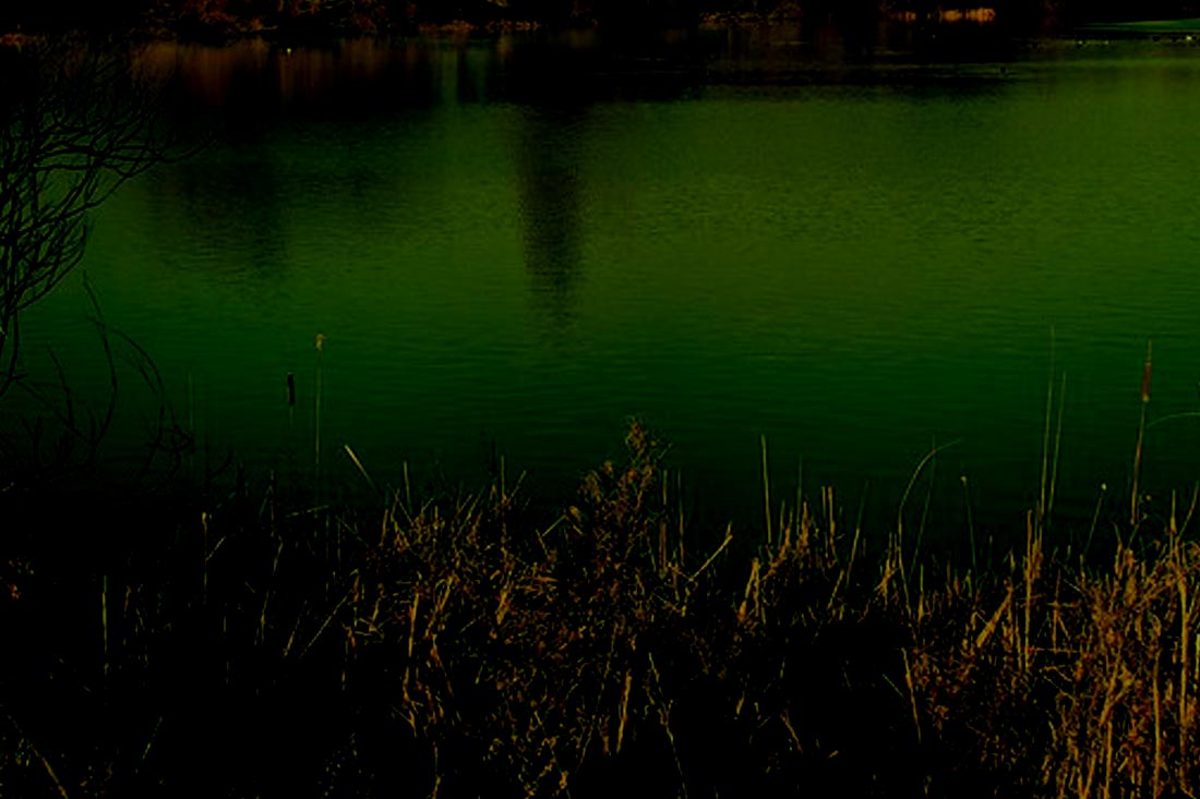 Carp Fishing – Johnson’s Railway Lake – Wesley Coggeshall