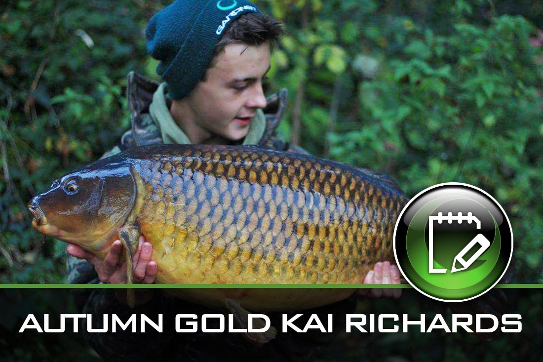 Carp Fishing ~ Kai Richards ~ Autumn Gold