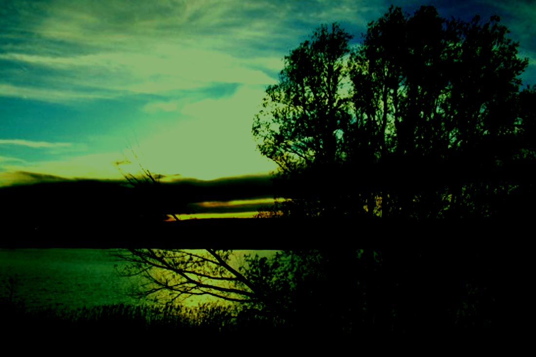 Carp Fishing – The Medway Valley’s First 50lb – Wesley Coggeshall