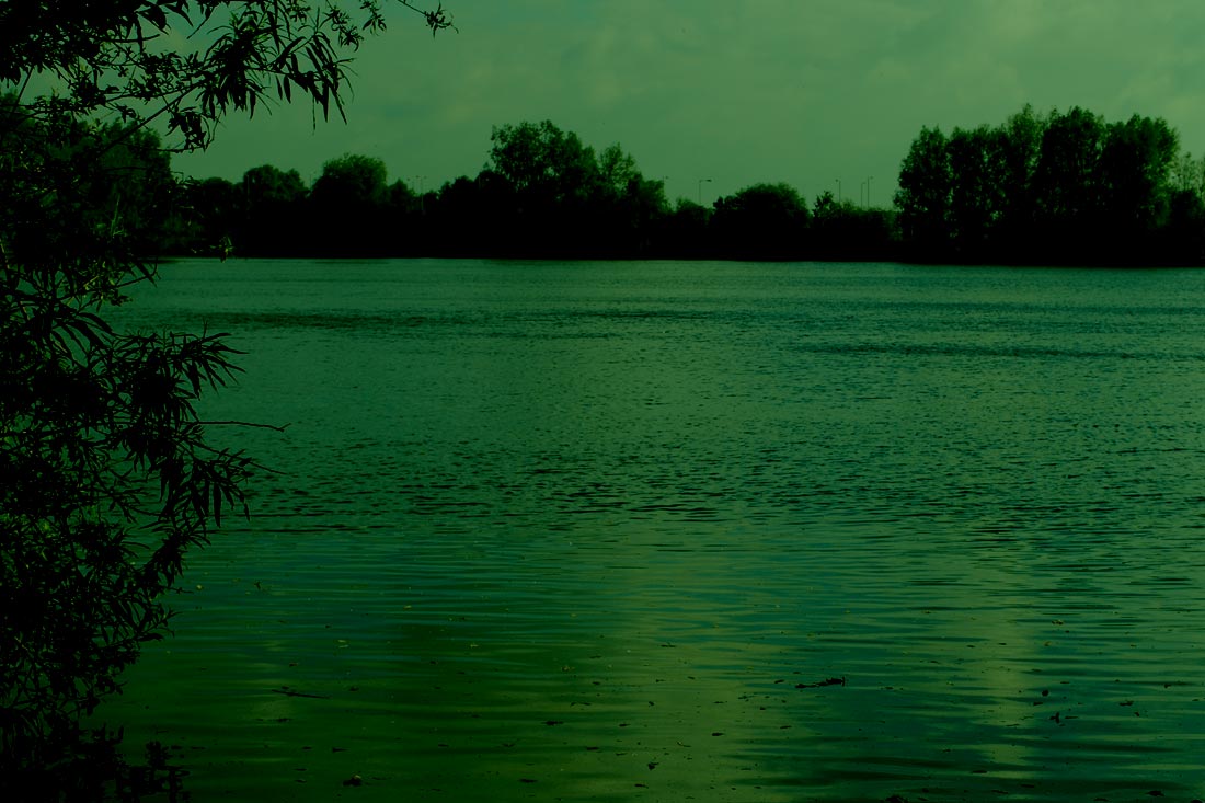 Carp Fishing – Memories of St. Ives Lagoon – George Benos