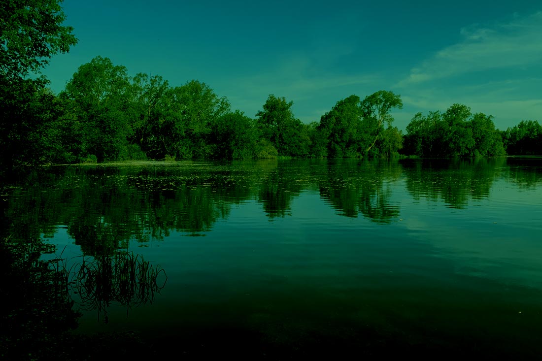 Carp Fishing – Review of My Year 2020 – Rick Golder