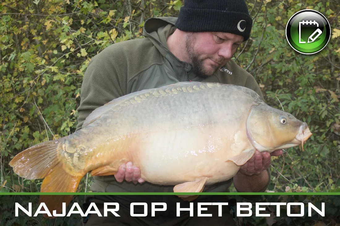 Karpervissen – Najaar op Het Beton – Chris Vandenhaute